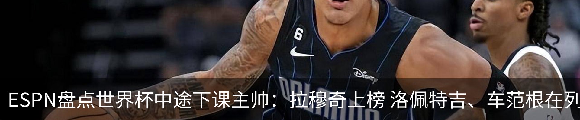 最新动态